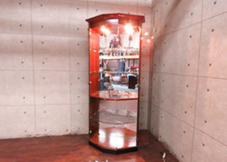 フォルザ(Forza)キュリオケース HHT300JS